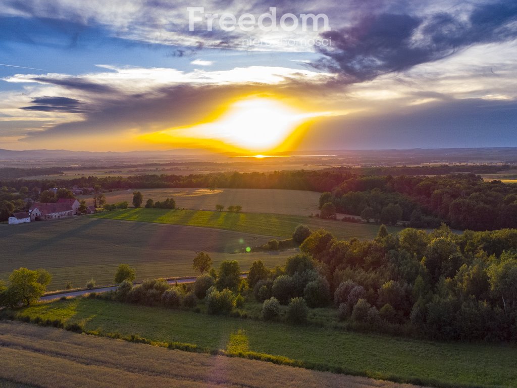 Działka budowlana na sprzedaż Nadziejów  5 130m2 Foto 1