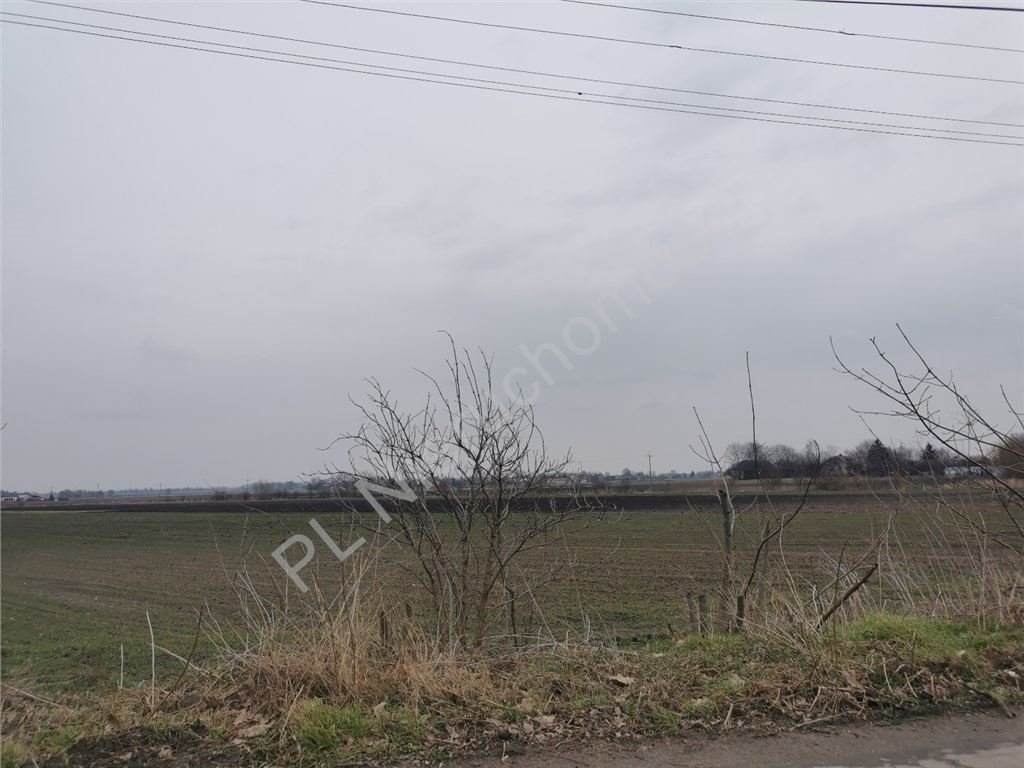 Działka rolna na sprzedaż Milęcin  15 762m2 Foto 7