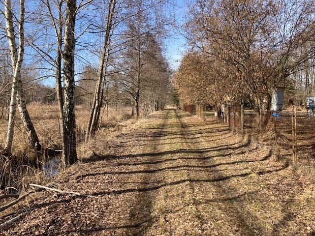 Do sprzedania urokliwy dom 88 m² na dużej działce z stawem Nowy Adamów  88m2 Foto 1