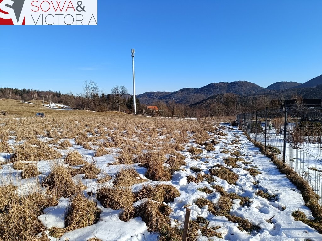 Działka budowlana na sprzedaż Wałbrzych, Podgórze  1 067m2 Foto 4