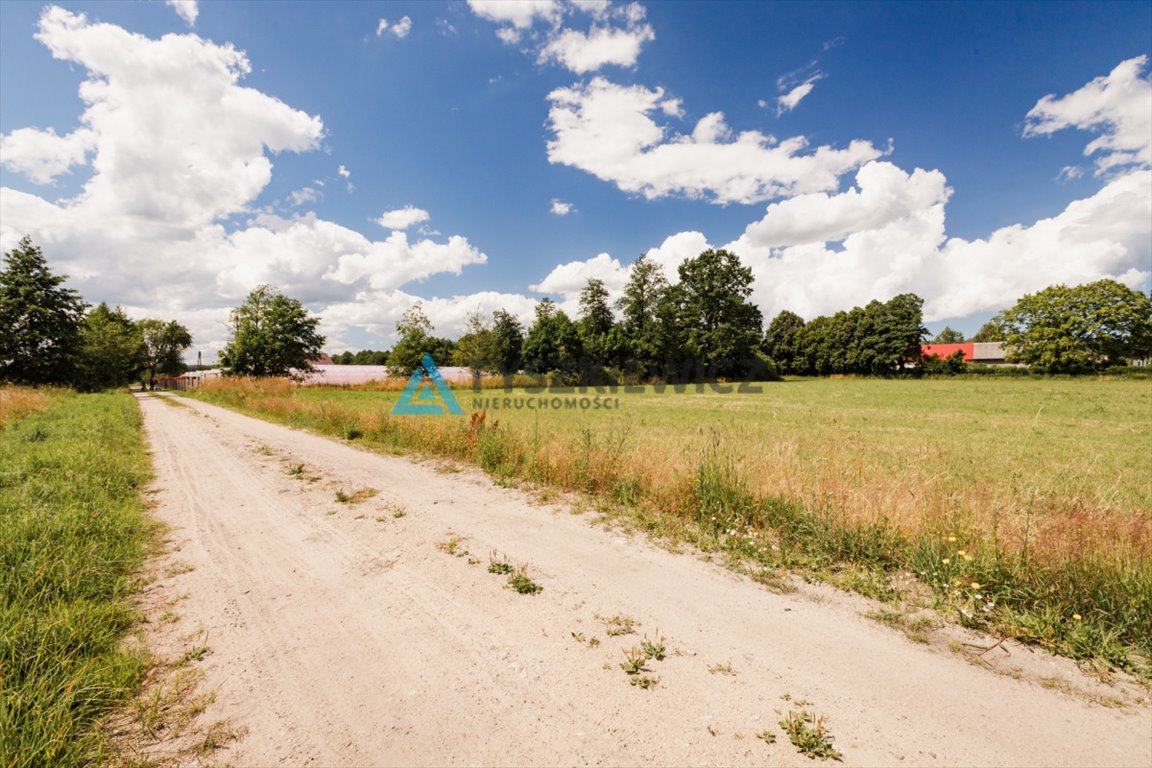 Działka budowlana na sprzedaż Kniewo, Radosna  4 412m2 Foto 11