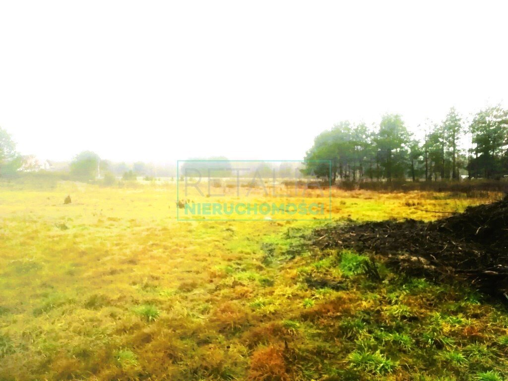 Działka inna na sprzedaż Słubica Dobra  6 024m2 Foto 1