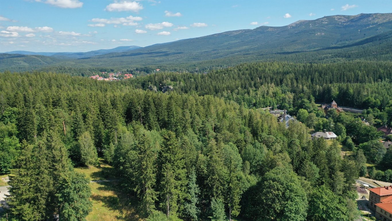 Działka budowlana na sprzedaż Szklarska Poręba, Huta, Kryształowa  1 006m2 Foto 4