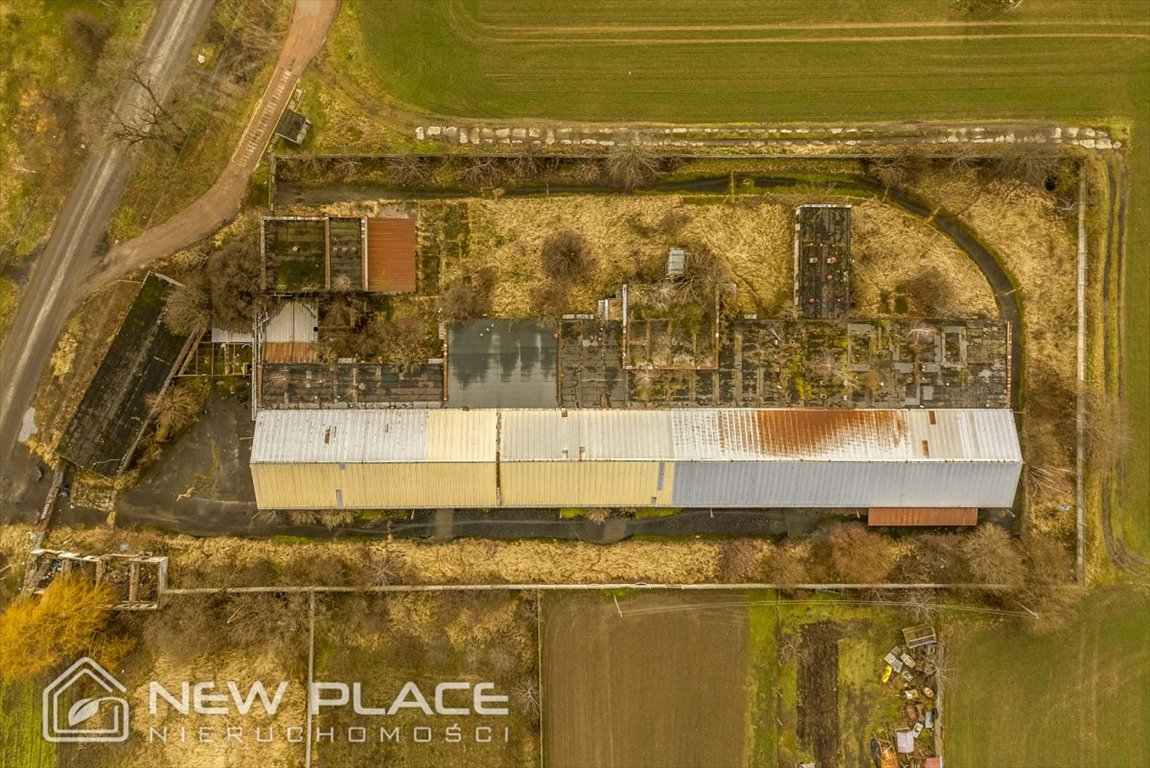 Magazyn na sprzedaż Jankowice Wielkie  2 052m2 Foto 6