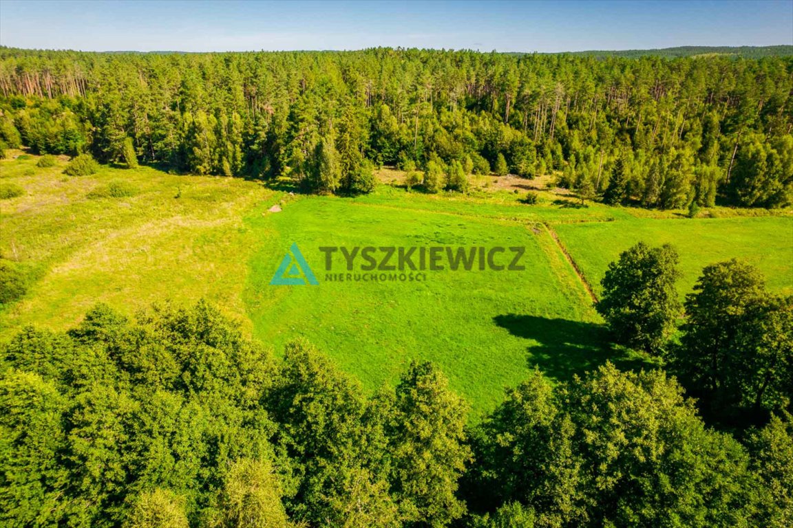 Działka rolna na sprzedaż Żukówko  14 200m2 Foto 9