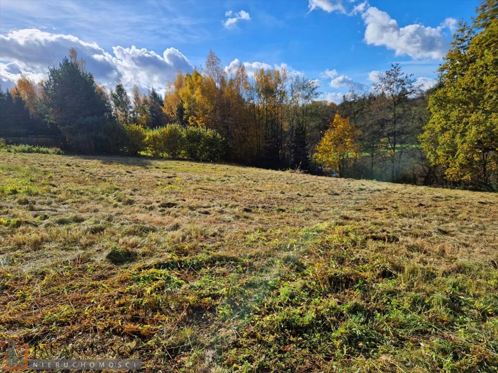 Widokowa działka budowlana 24,91 ara z mediami i dojazdem Maszków  2 491m2 Foto 1