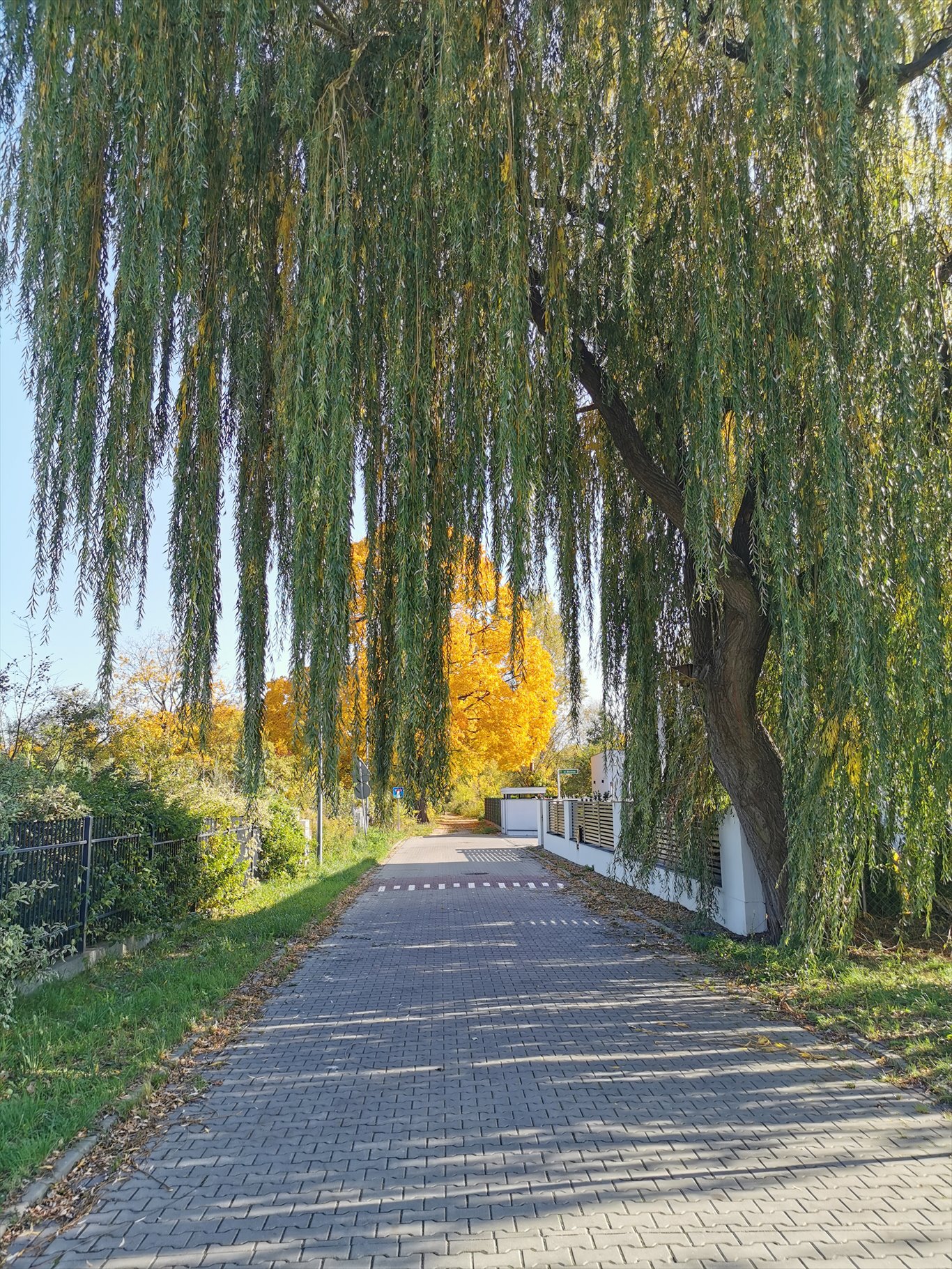 Dom na sprzedaż Komorów, Miodowa 3  260m2 Foto 12