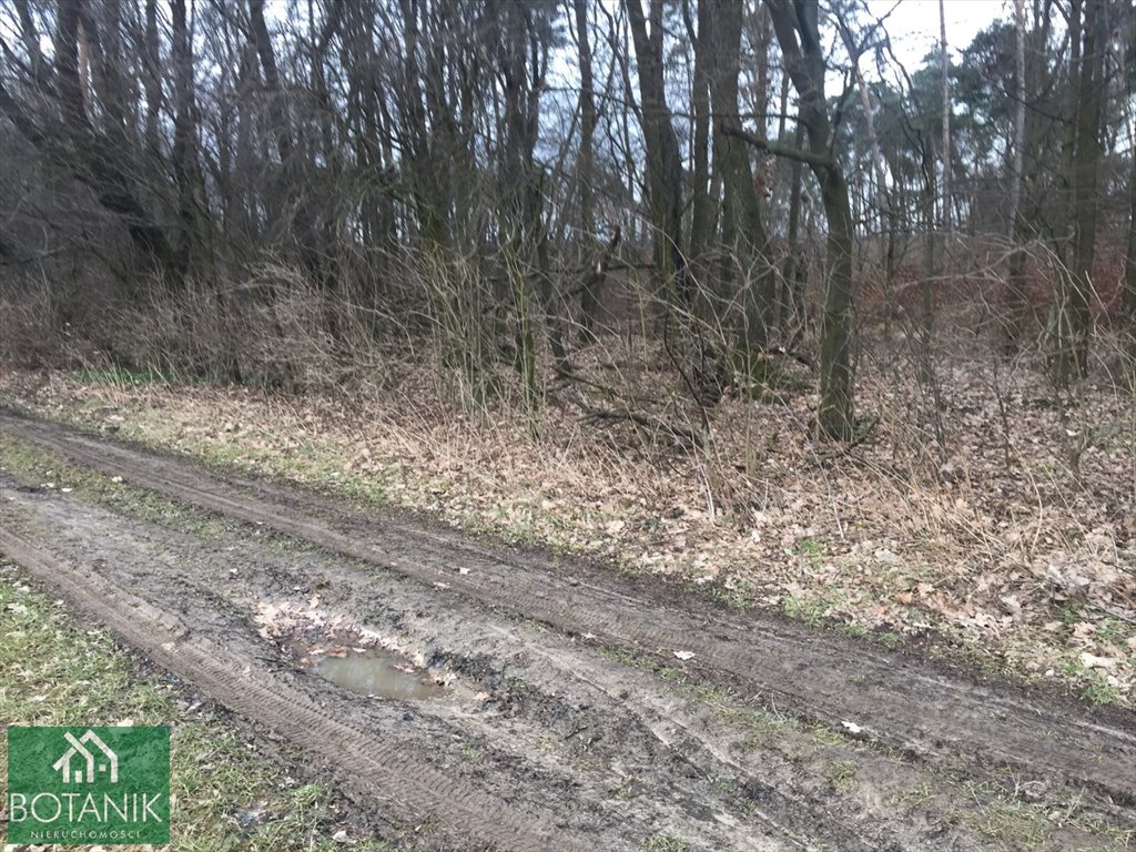 Działka budowlana na sprzedaż Kazimierzówka  950m2 Foto 5