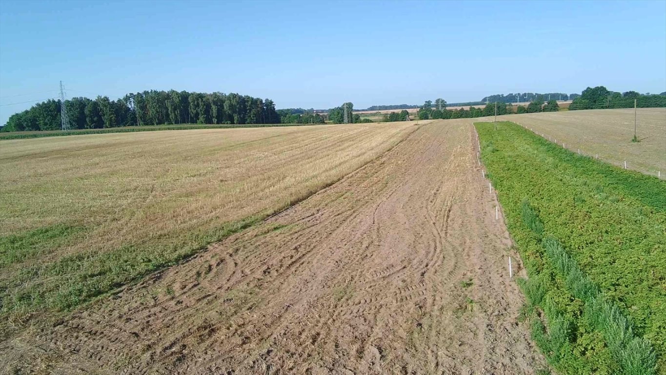 Działka rolna na sprzedaż Golczewo  318 700m2 Foto 1