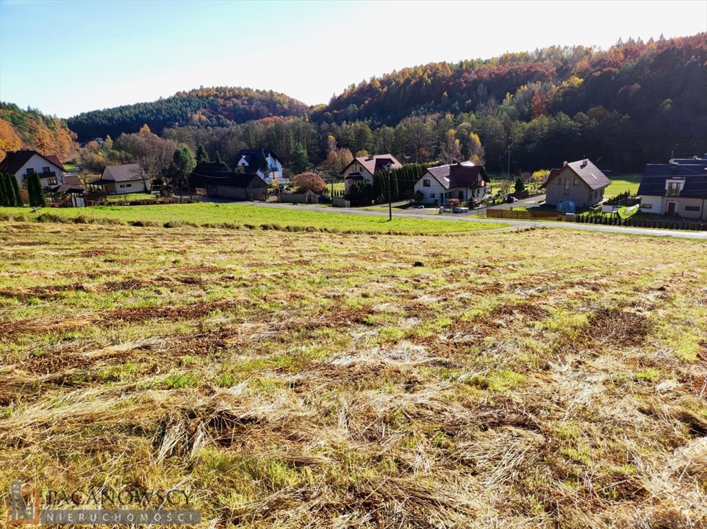 Działka budowlana na sprzedaż Mników  3 505m2 Foto 3