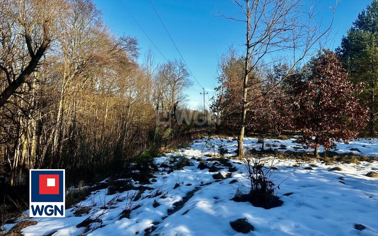 Działka rolna na sprzedaż Dębnica Kaszubska, Ks. Antoniego Kani  5 700m2 Foto 3