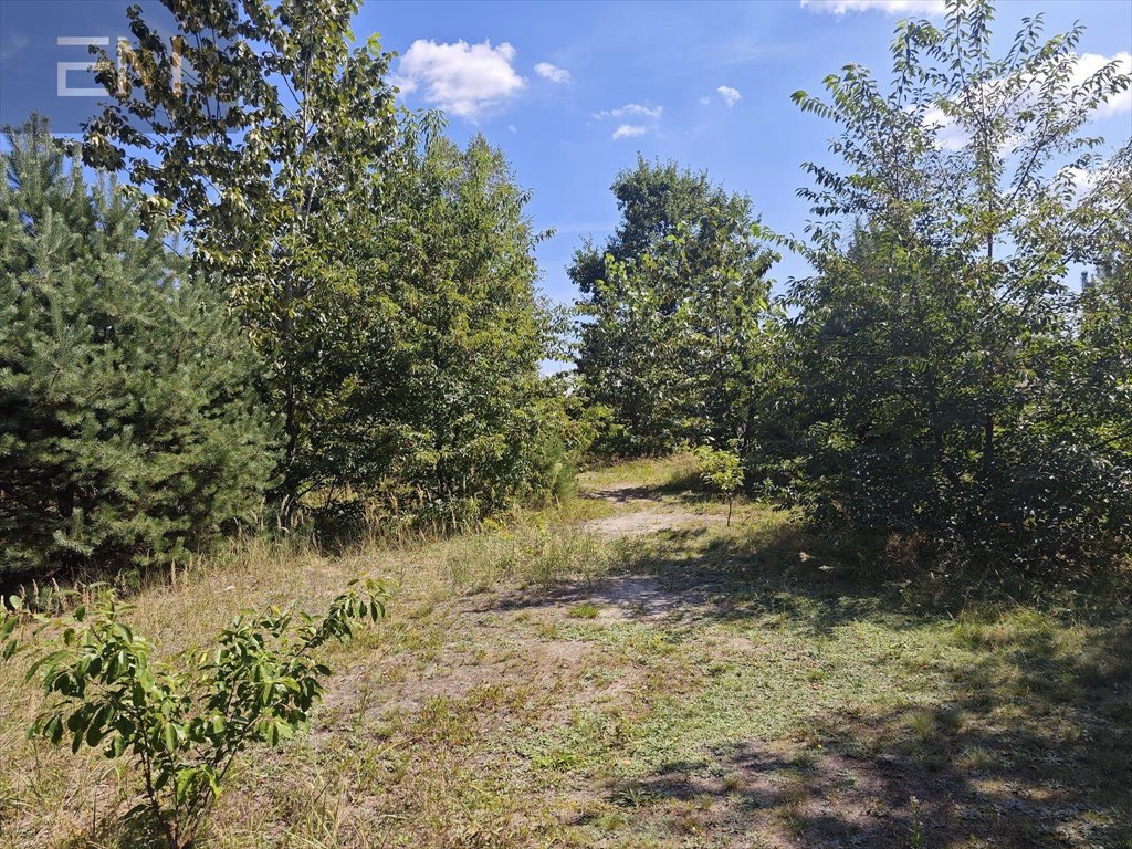 Działka budowlana na sprzedaż Wilcza Wola  1 800m2 Foto 11