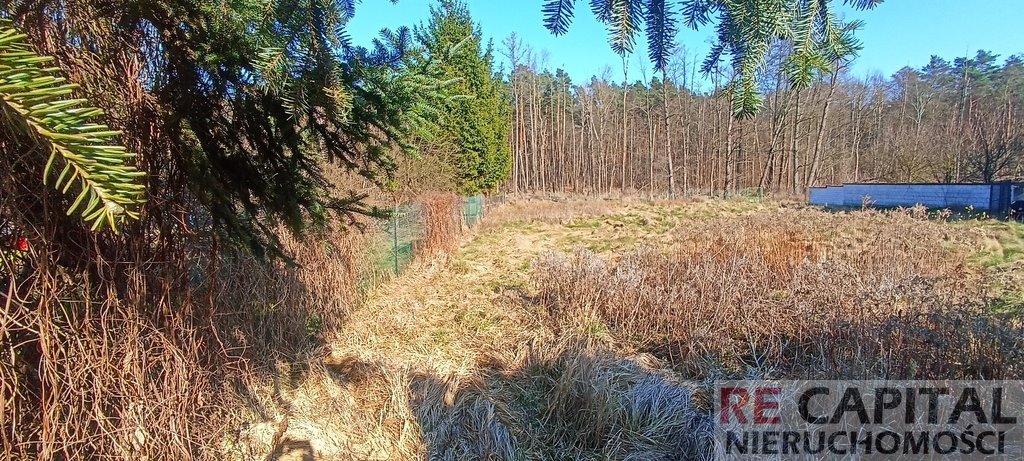 Działka budowlana na sprzedaż Lipków  1 322m2 Foto 2