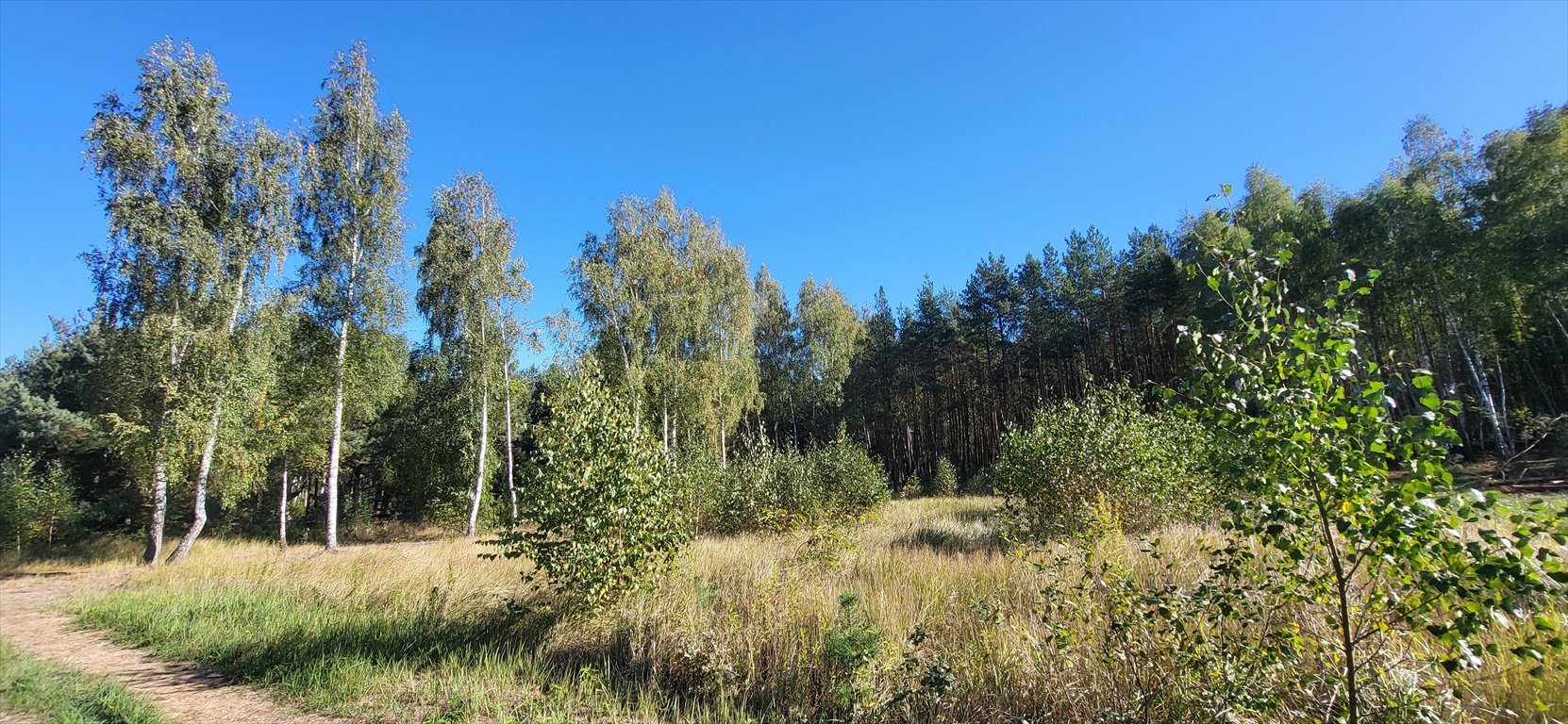 Działka budowlana na sprzedaż Ruda  1 464m2 Foto 5