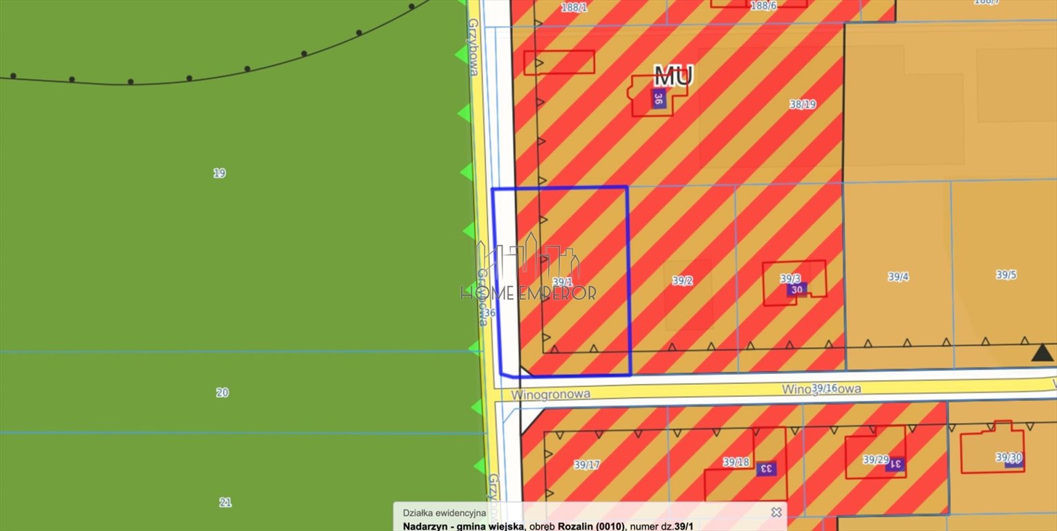 Działka budowlana na sprzedaż Rozalin, Grzybowa  1 619m2 Foto 1