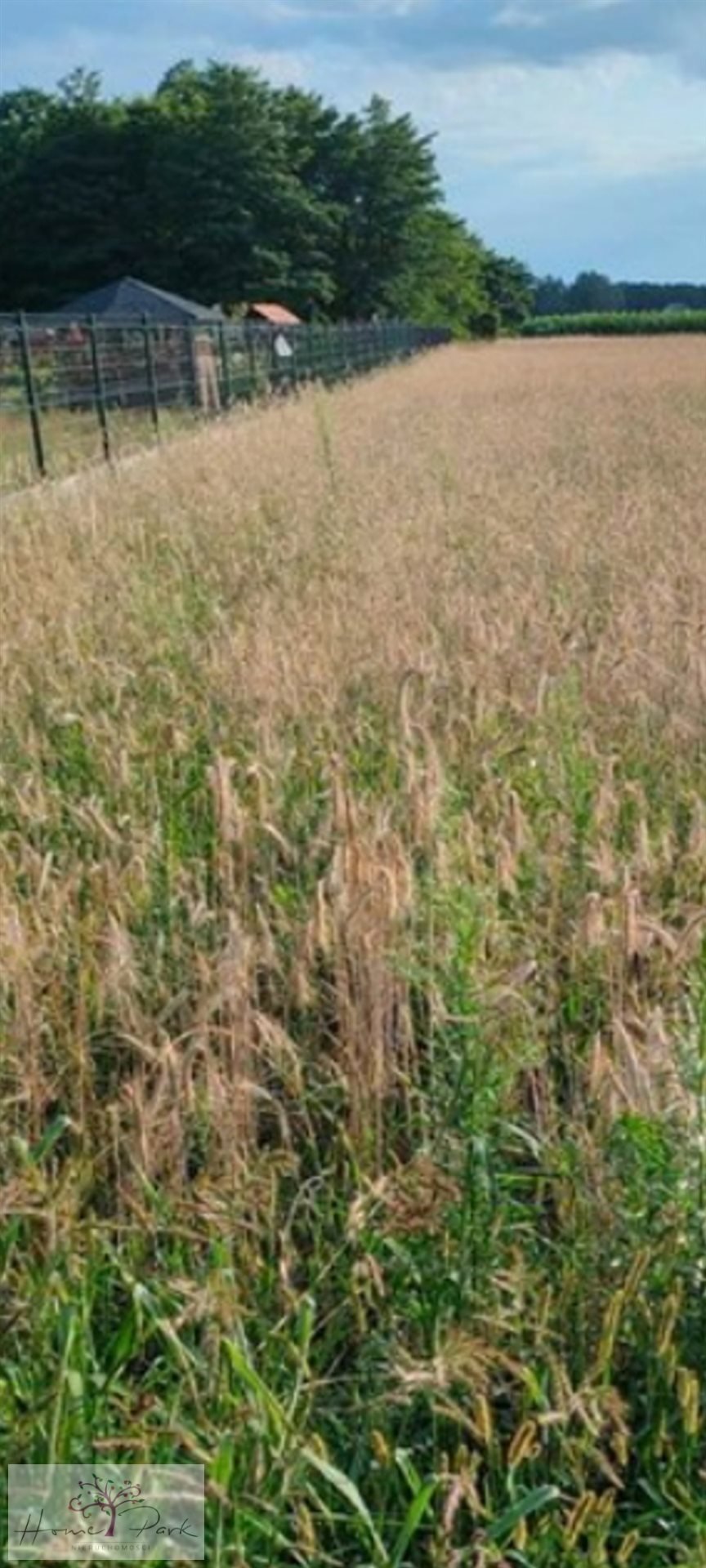 Działka budowlana na sprzedaż Huta Bardzyńska  1 200m2 Foto 3