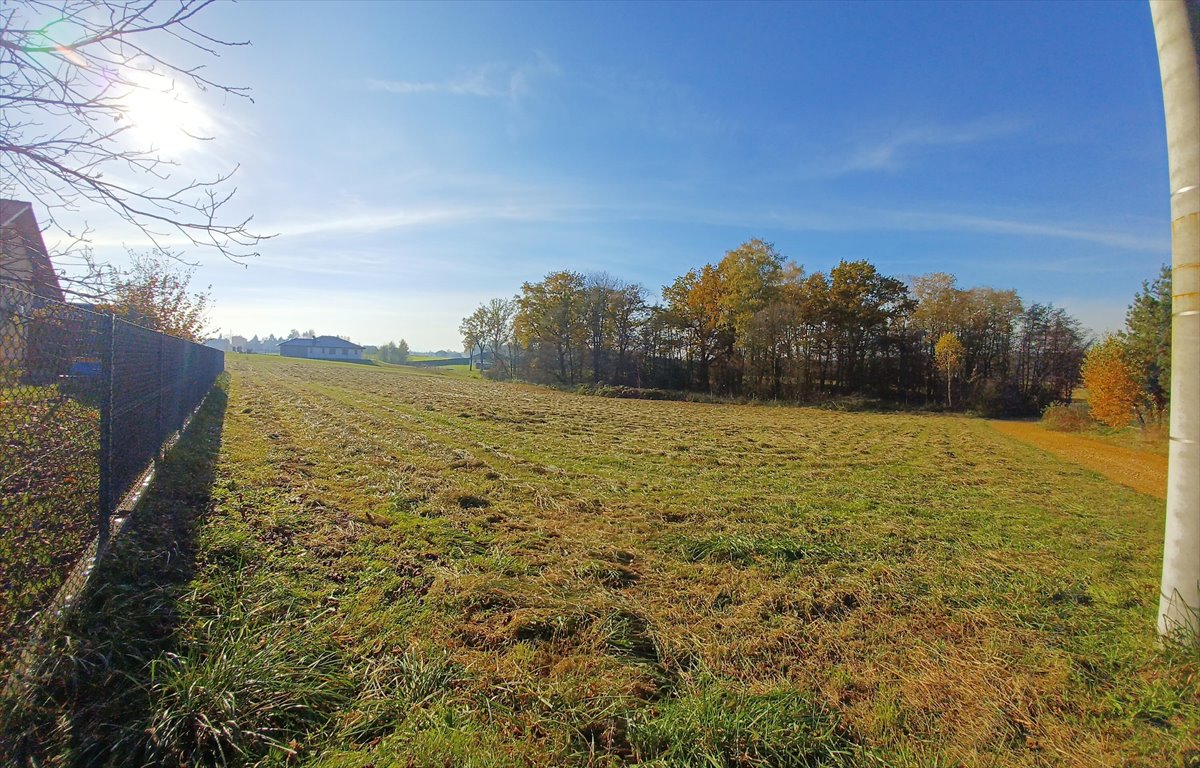 Działka budowlana na sprzedaż Pisarzowice  2 362m2 Foto 6