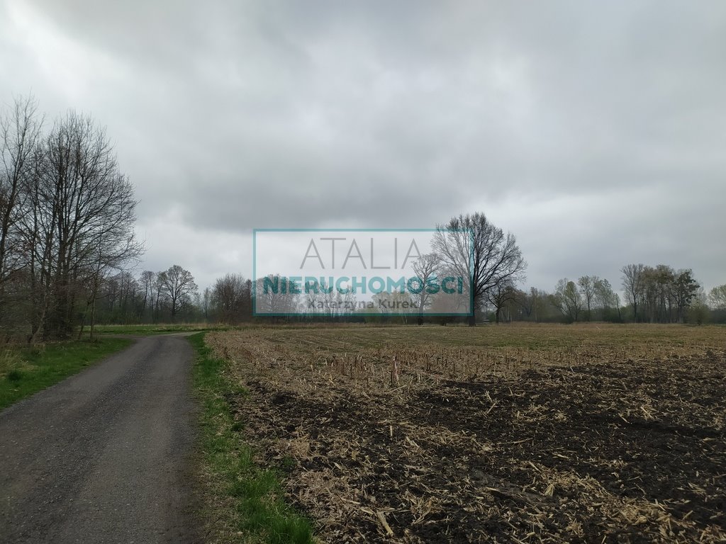 Działka 1345 m² z prądem w spokojnej okolicy - zapraszam Budy Zosine  1 345m2 Foto 1