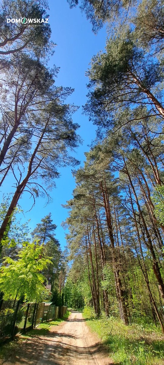 Działka leśna na sprzedaż Żarki-Letnisko, Wiejska  3 888m2 Foto 4