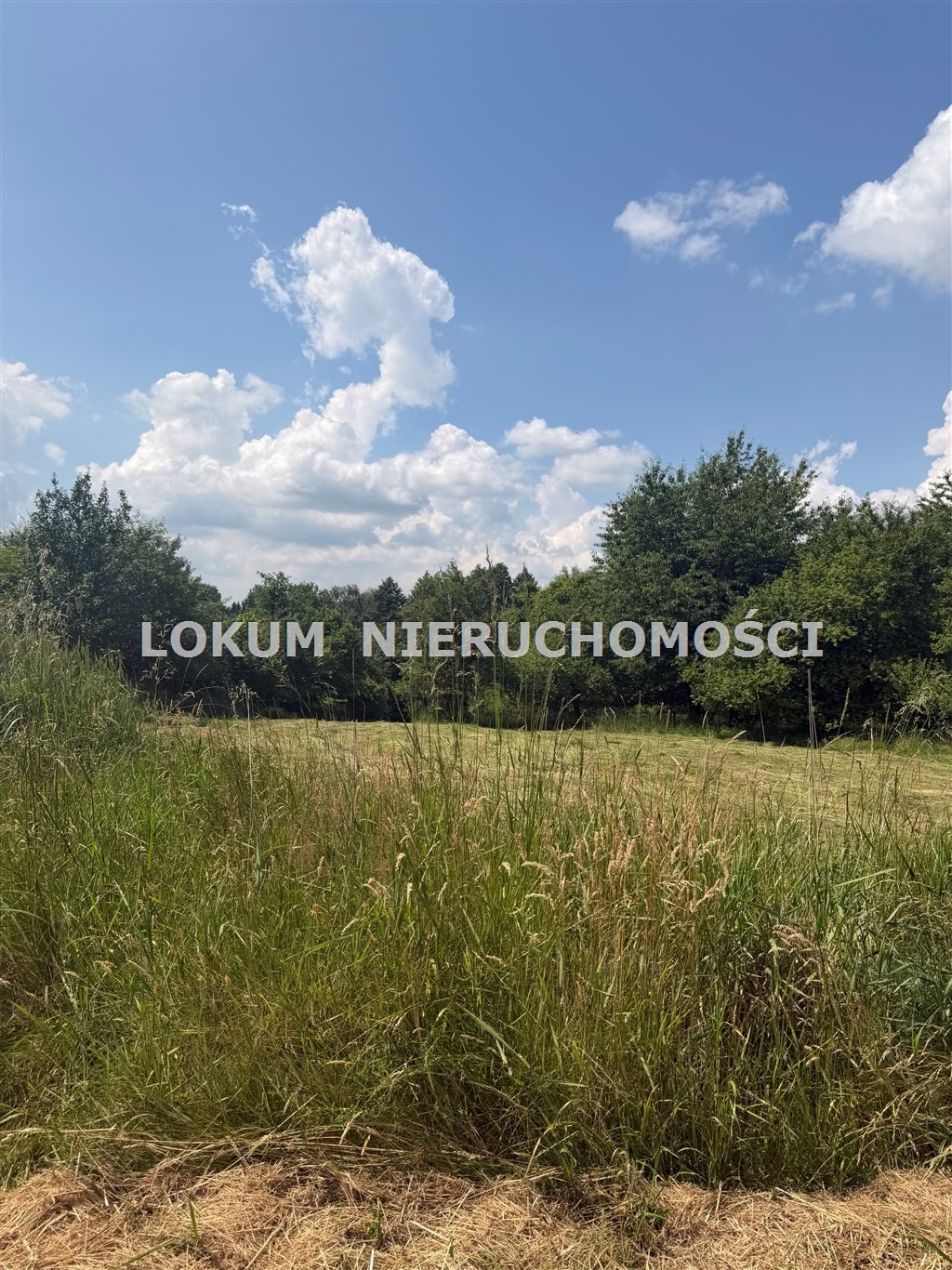 Działka 13 371 m² z częścią budowlaną i rolną - polecam! Jastrzębie-Zdrój, Ruptawa, Rajdowa  13 371m2 Foto 1