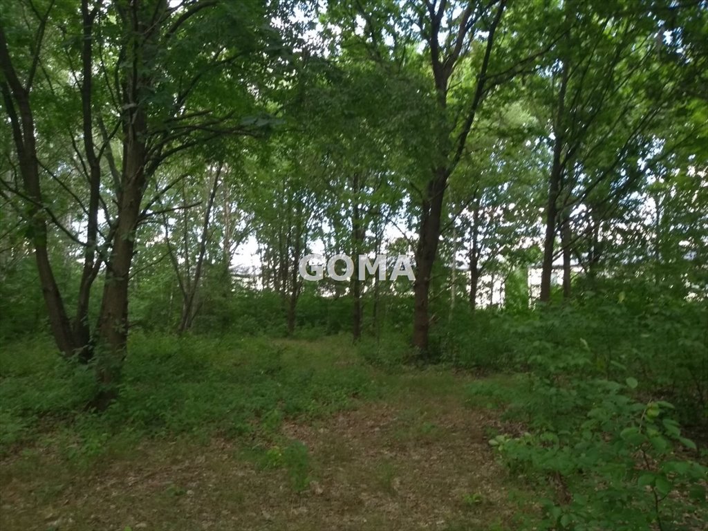 Działka budowlana na sprzedaż Sulejówek  11 565m2 Foto 1