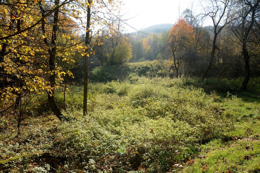 Działka budowlana na sprzedaż Ponikiew  2 846m2 Foto 10