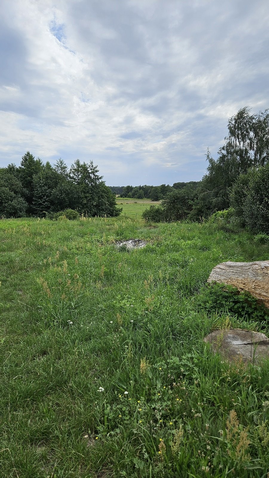 Działka budowlana na sprzedaż Zakrzyce  3 838m2 Foto 8