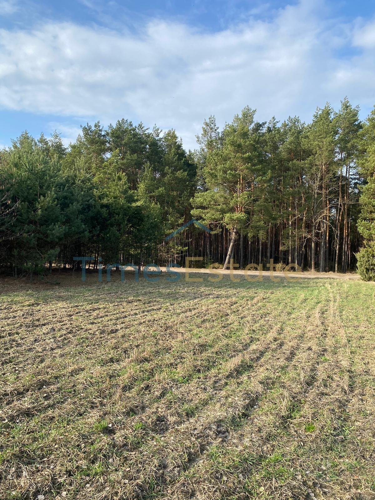 Działka budowlana na sprzedaż Ostrówek  5 700m2 Foto 2