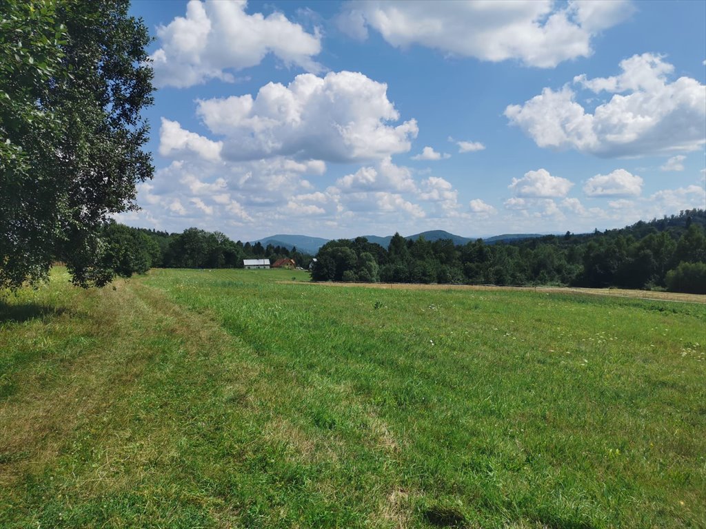 Działka rolna na sprzedaż Uherce Mineralne  4 900m2 Foto 7