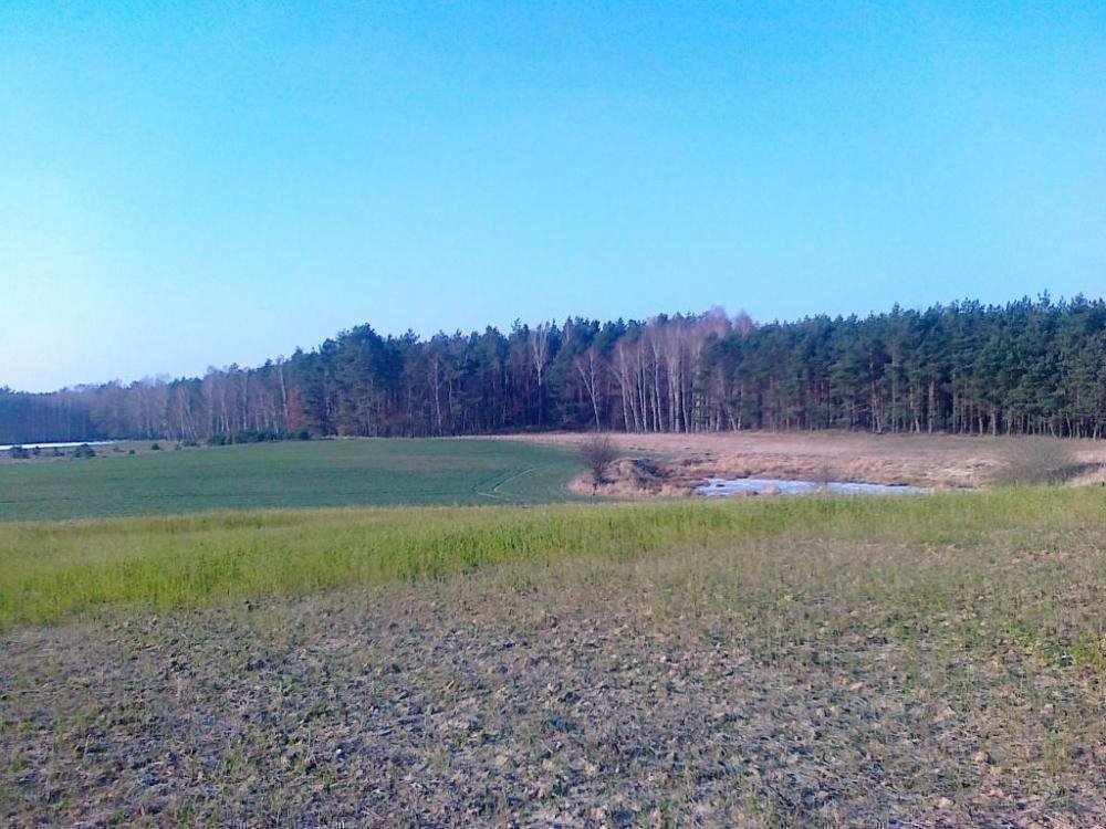 Działka inna na sprzedaż Stary Jasiniec  22 400m2 Foto 4