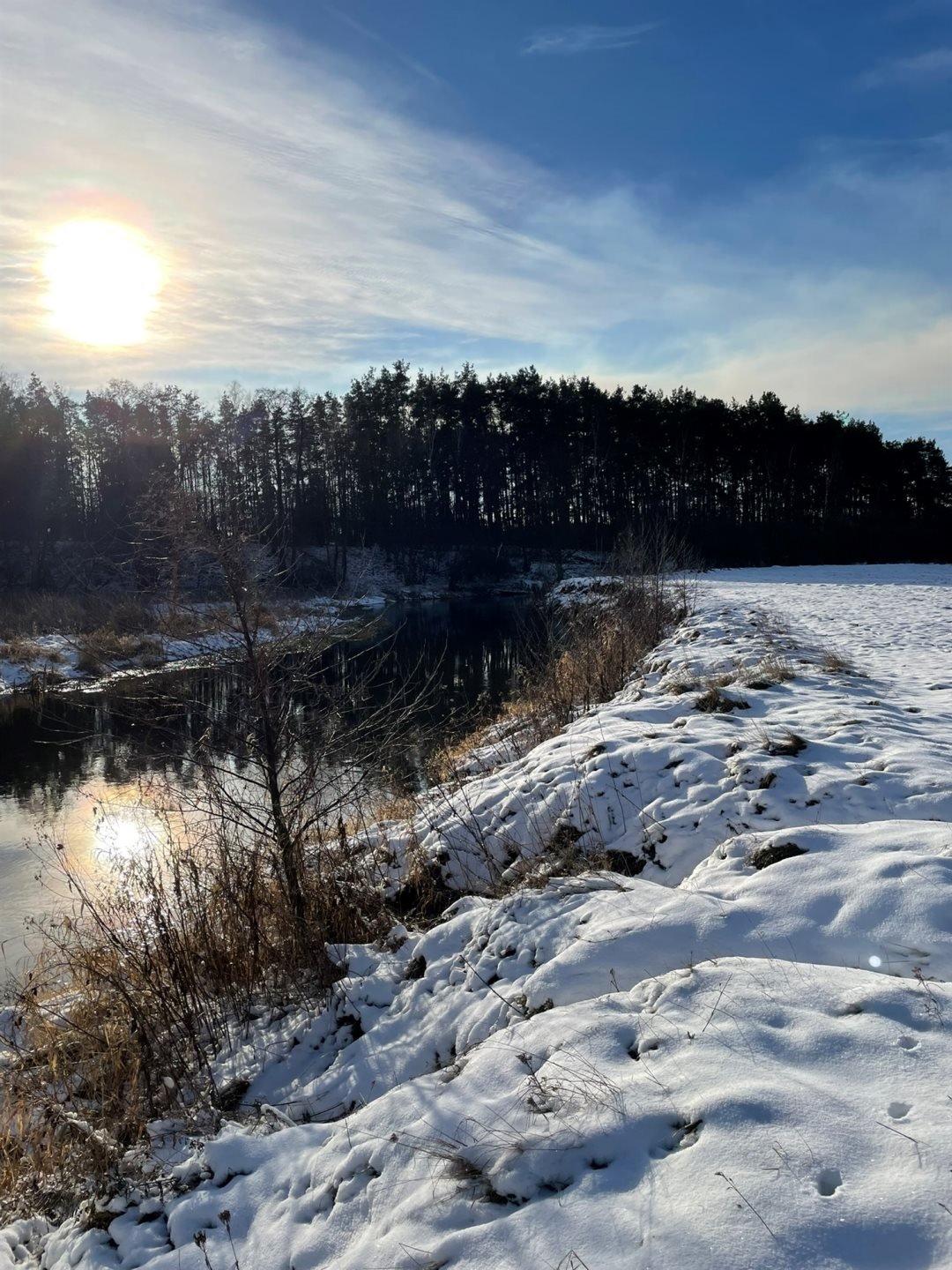 Działka leśna na sprzedaż Kowalewko, Szyjki  800m2 Foto 4