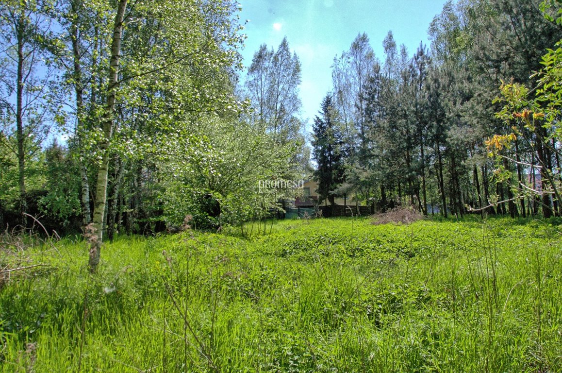 Działka inna na sprzedaż Śliwice, Aleja Dębowa  250m2 Foto 10