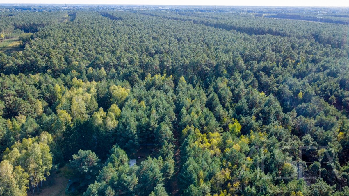 Działka budowlana na sprzedaż Basinów  972m2 Foto 6