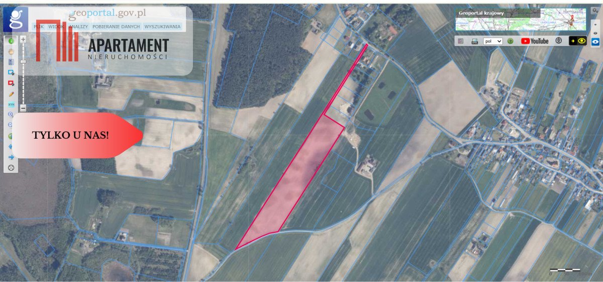 Polecam grunt orny 4,2ha w Dąbrówce - prostokąt, dojazd prywatny Dąbrówka  41 987m2 Foto 1
