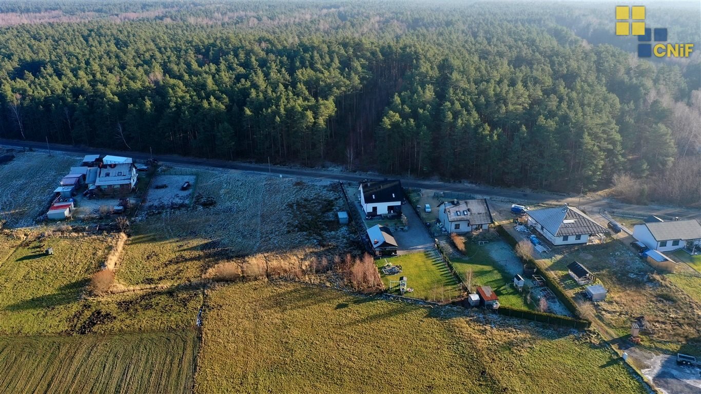 Działka budowlana na sprzedaż Aleksandria  1 347m2 Foto 5