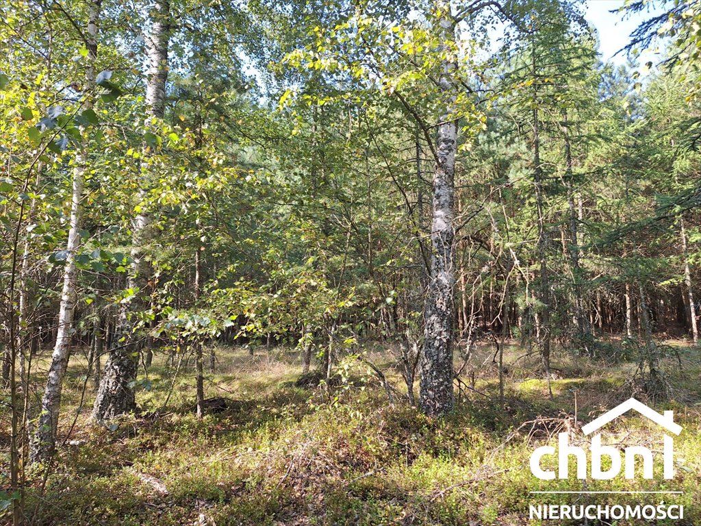 Działka rolna na sprzedaż Konarzyny, Kiełpin  33 800m2 Foto 12