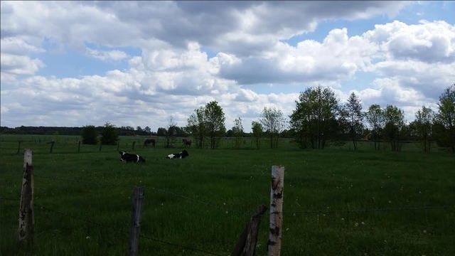 Działka inwestycyjna na sprzedaż Wiktorów 17 000m2 Foto 1 Działka inwestycyjna na sprzedaż Wiktorów 17 000m2 Foto 1