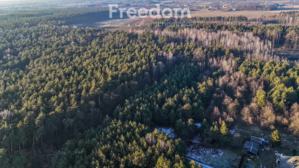 Działka budowlana na sprzedaż Świętochów, Leśna  11 932m2 Foto 10