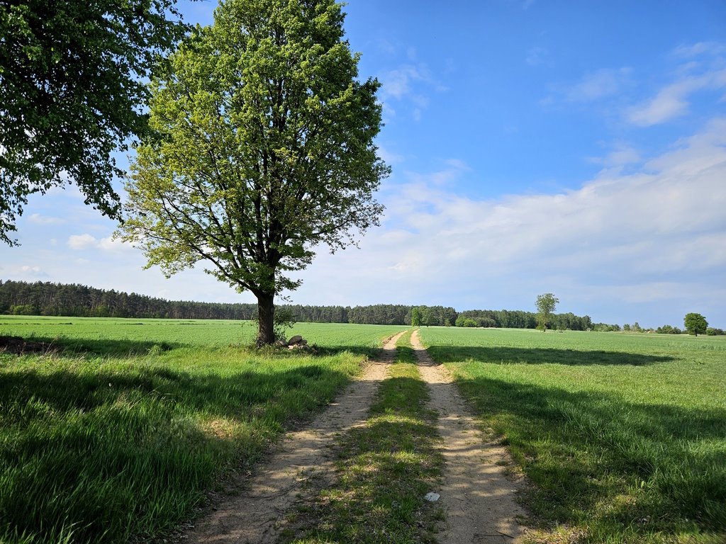 Działka z MPZP pod dom w spokojnej, zielonej okolicy Parzęczew  1 200m2 Foto 1