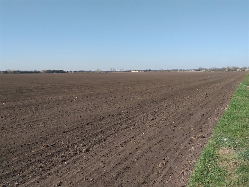 Działka przemysłowo-handlowa na sprzedaż Wrocław, Fabryczna, Oporów, Mokronoska  125 000m2 Foto 9