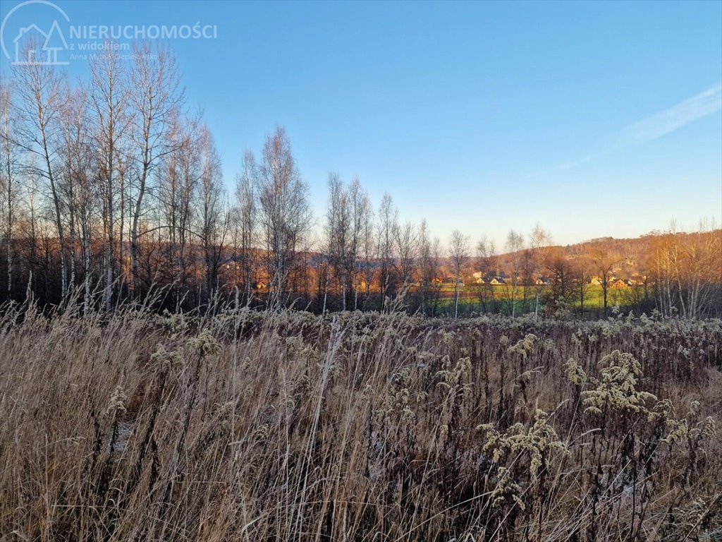 Działka budowlana na sprzedaż Gromnik  1 282m2 Foto 3