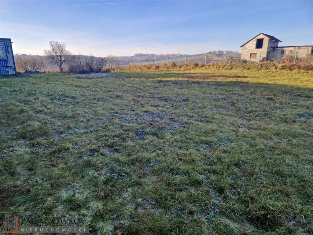 Działka budowlana na sprzedaż Pietrzejowice  1 499m2 Foto 4