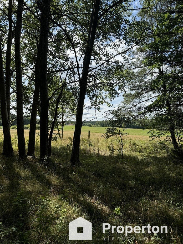 Działka budowlana na sprzedaż Przykop  3 024m2 Foto 1