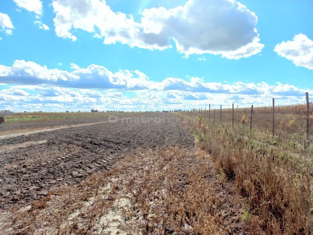 Działka inna na sprzedaż Zaborówek, Stołeczna  1 000m2 Foto 4