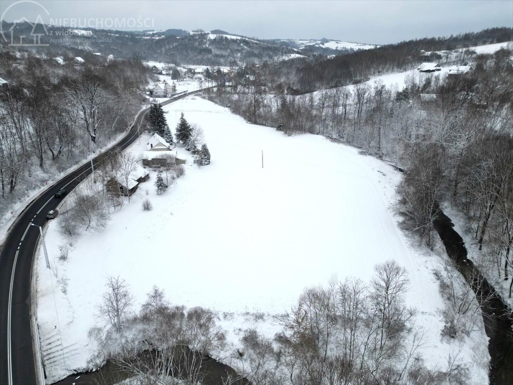 Działka rolna na sprzedaż Rzepiennik Marciszewski  15 000m2 Foto 5