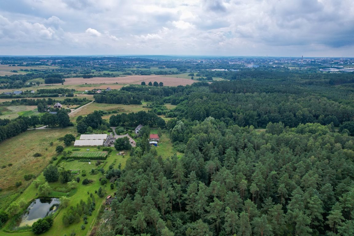 Działka budowlana na sprzedaż Niewierowo, Niewierowo  1 573m2 Foto 6