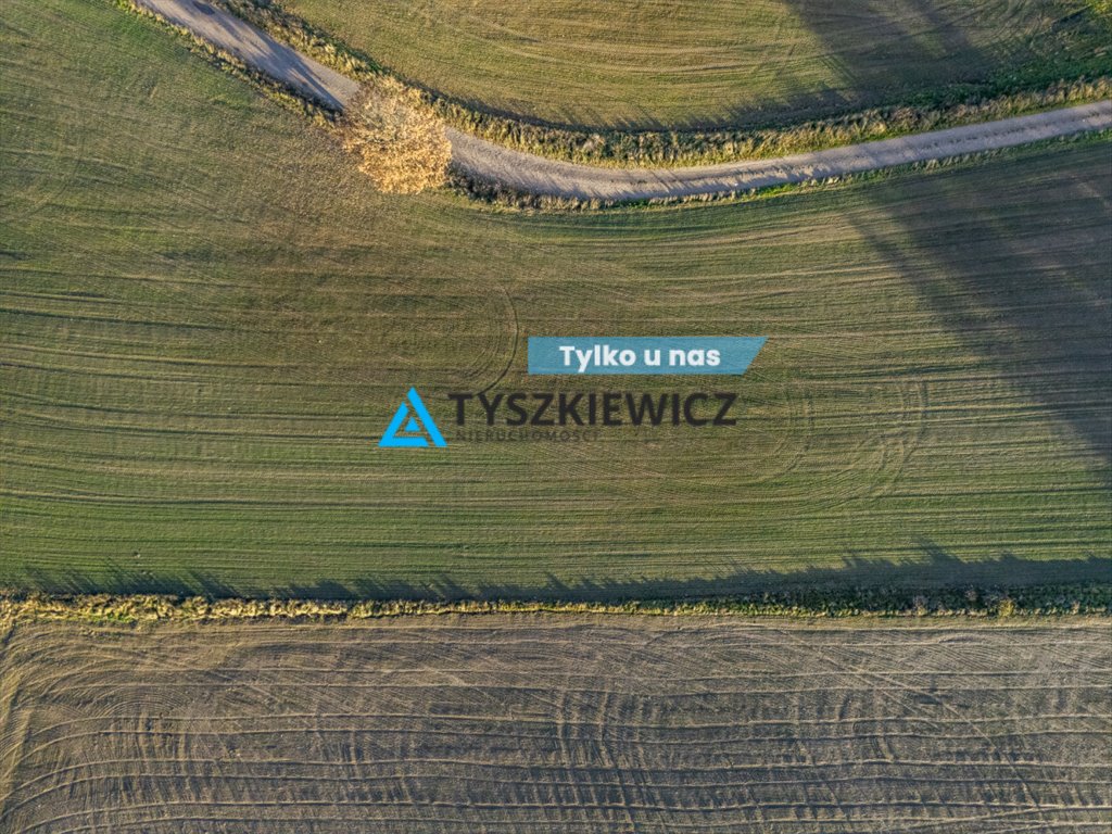 Działka rolna na sprzedaż Grabowo Kościerskie, Lipowa  12 350m2 Foto 1
