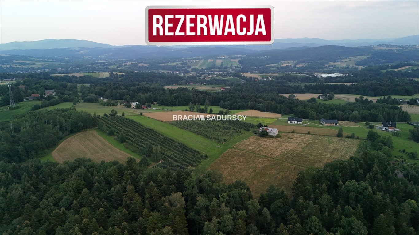 Działka budowlana na sprzedaż Łapanów, Wolica, Wolica  49 000m2 Foto 3