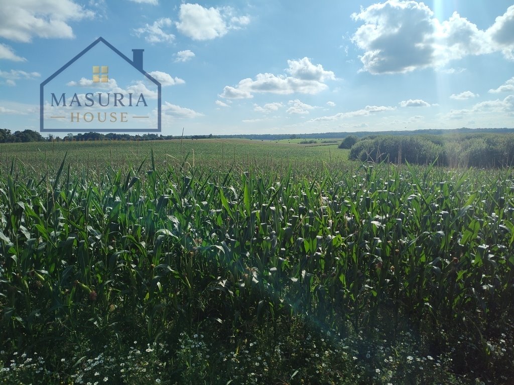 Zapraszam do obejrzenia działki 30 800 m² w Urowie Urowo  30 800m2 Foto 1