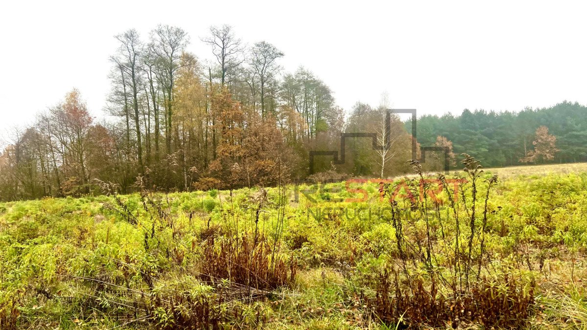 Działka budowlana na sprzedaż Puszcza Mariańska  1 200m2 Foto 8